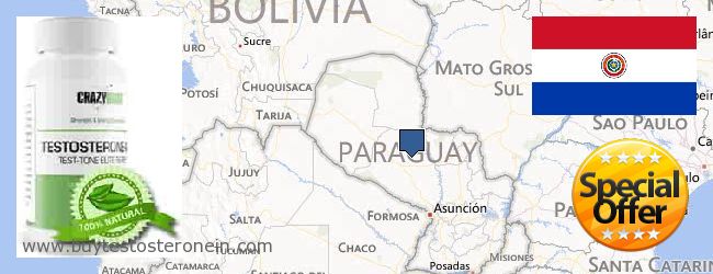 Dónde comprar Testosterone en linea Paraguay